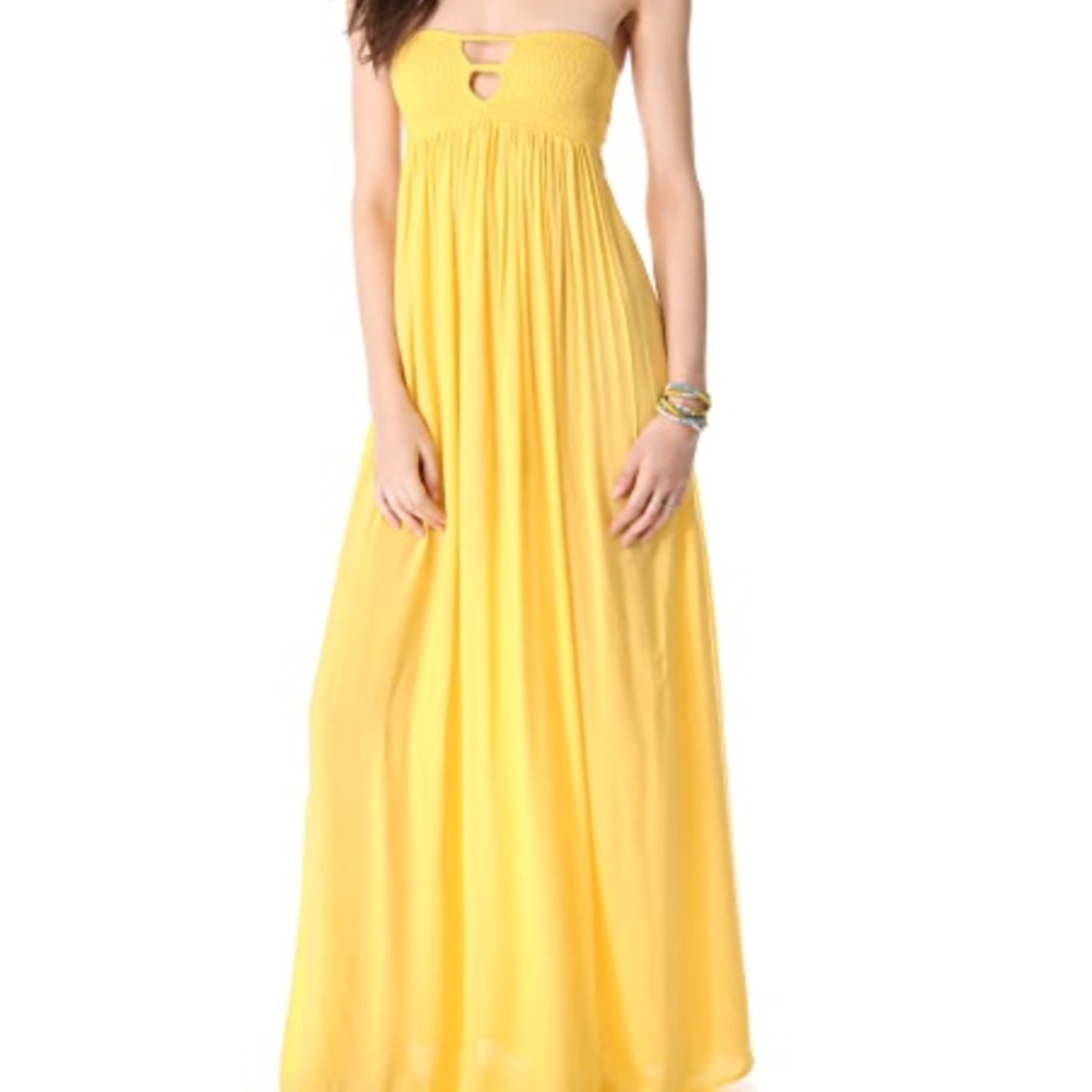 Indah Flamingo Maxi Dress NWT